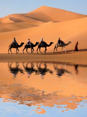 camel tour Dubai